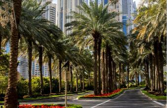 city of dubai